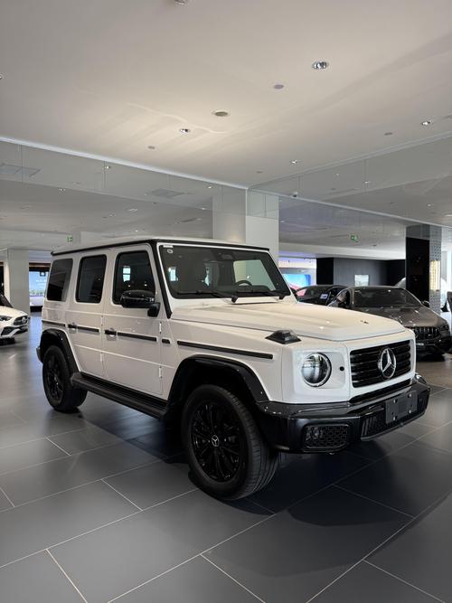 2025款奔驰g500正式上市(最新的奔驰g500)