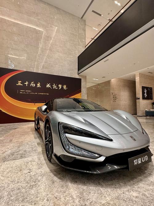 仰望u9车标图片(仰望汽车)